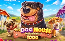 The Dog House Megaways 1000 - Pragmatic