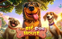 The Big Dog House - Pragmatic